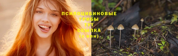 MDMA Ладушкин