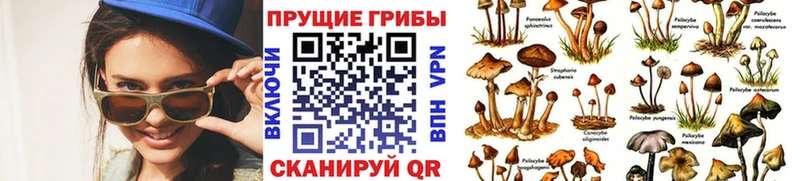 Галлюциногенные грибы мицелий  Долинск 