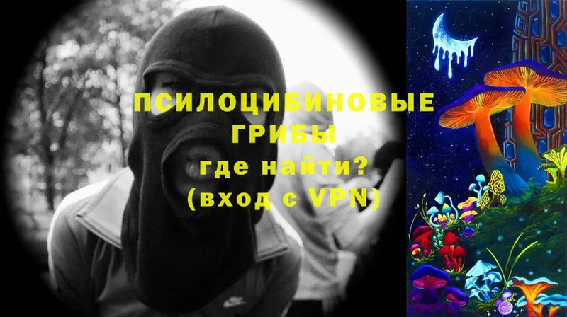 площадка как зайти  Долинск  Галлюциногенные грибы MAGIC MUSHROOMS  кракен сайт 